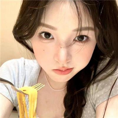 企鹅家族